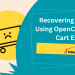 Recovering Lost Revenue Using OpenCart Abandoned Cart Extension